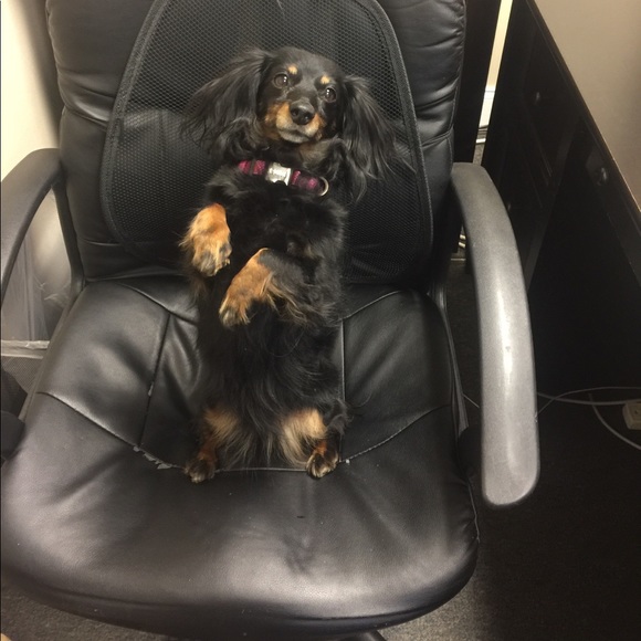 Meet your Posher, Tegin - Picture 5 of 8